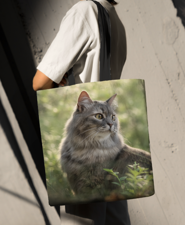 Zrzut ekranu 2024-01-23 o 12.11.52.png