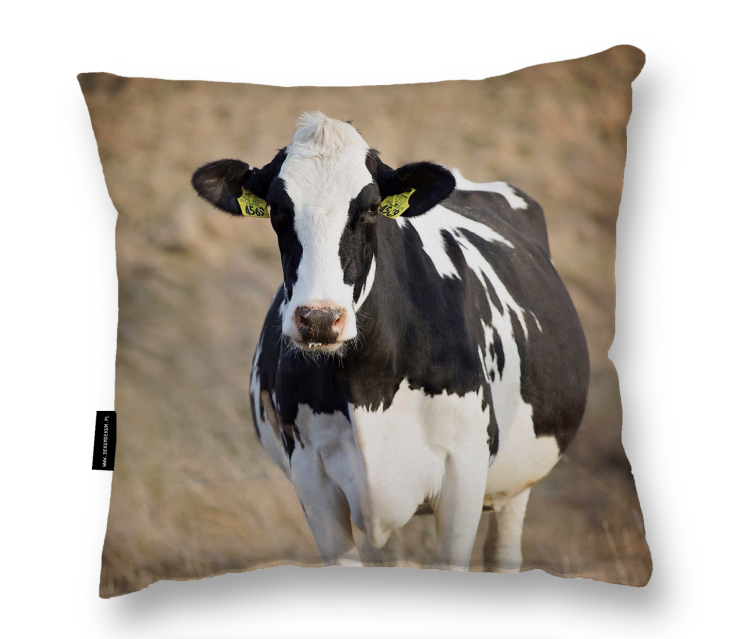 Zrzut ekranu 2024-01-24 o 12.02.29.png