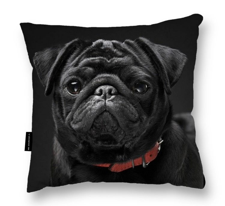 Zrzut ekranu 2024-02-1 o 12.23.13.png