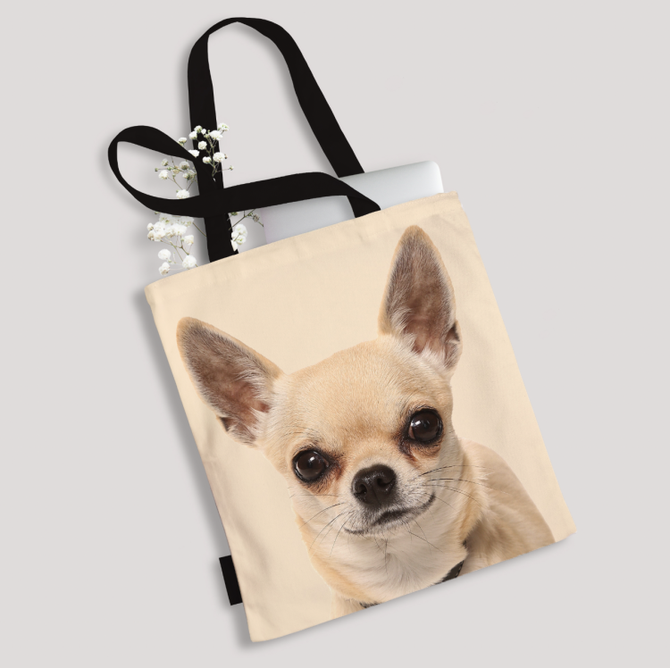 Zrzut ekranu 2024-02-20 o 10.41.43.png