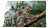 ręcznik koala zdj.jpg