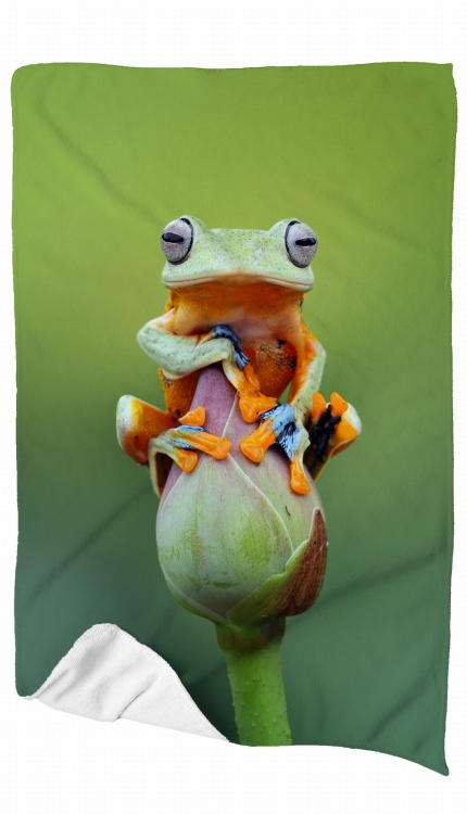 ręcznik żaba zdj 1.jpg