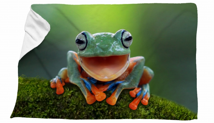 ręcznik żaba zdj.jpg