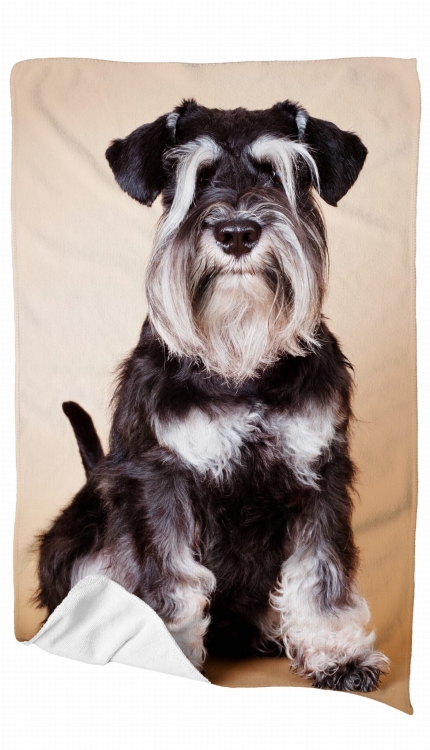 ręcznik sznaucer zdj 1.jpg