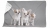 recznik chihuahua mix szary.jpg