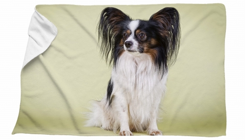 ręcznik papillon zielony zdj.jpg