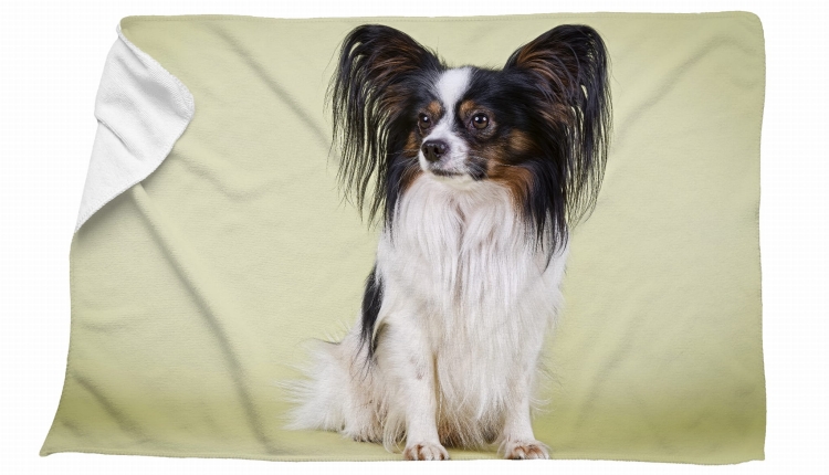 ręcznik papillon zielony zdj.jpg