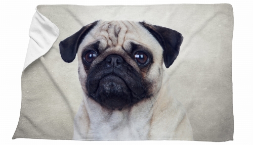 ręcznik mops beż zdj.jpg