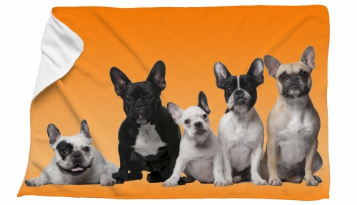 ręcznik buldogi zdj mix.jpg
