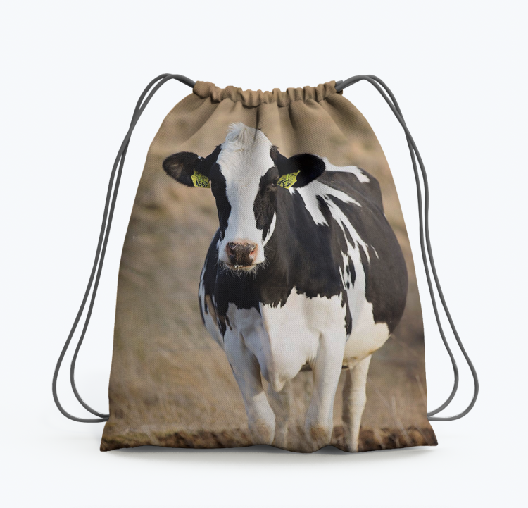 Zrzut ekranu 2024-03-5 o 11.38.22.png