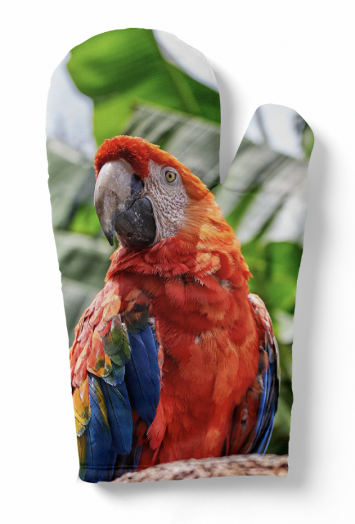 rękawica papuga zdj.png