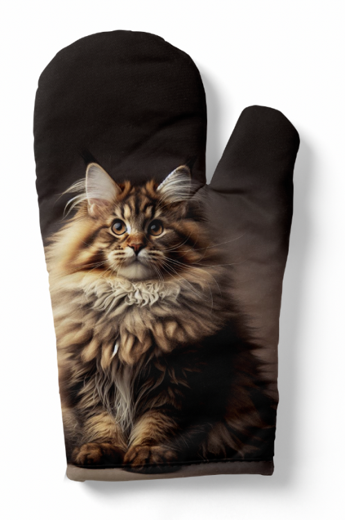 rękawica mainecoon zdj.png