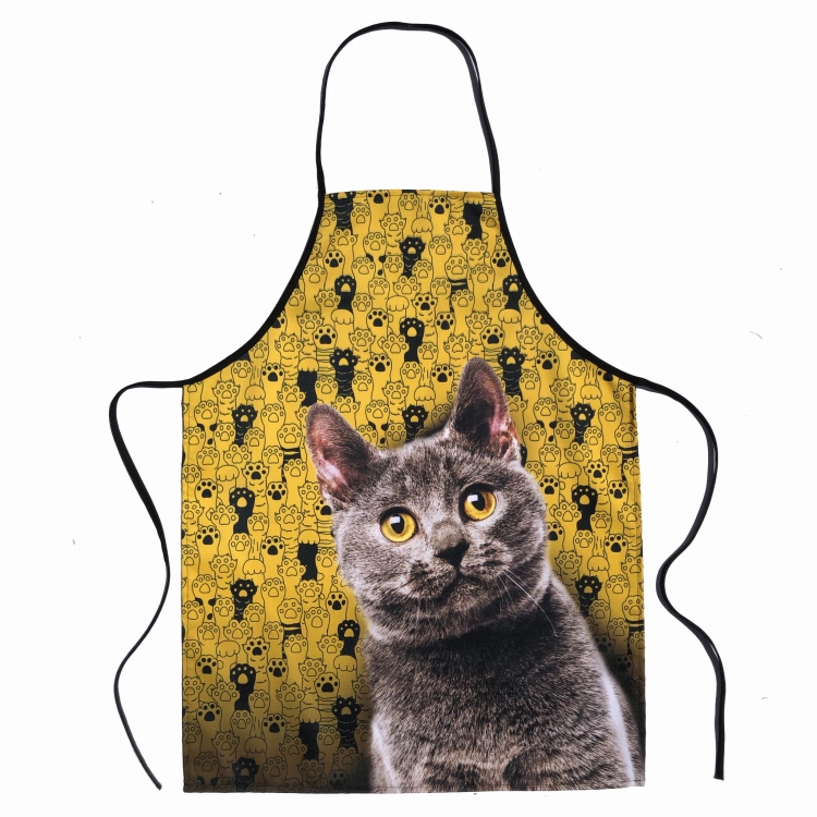 fartuch żółty kot brytyjski .jpg