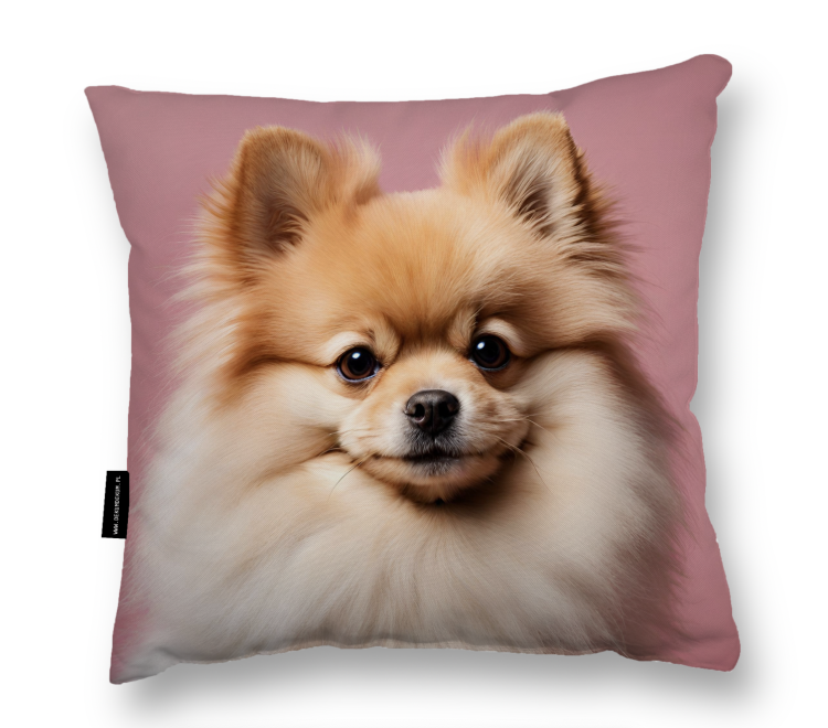 poduszka pomeranian róż zdj.png
