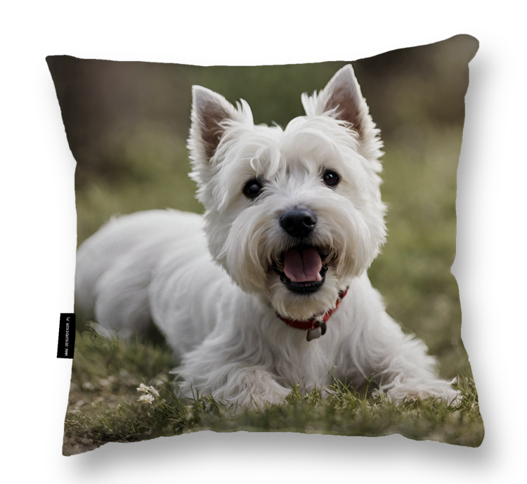 Zrzut ekranu 2024-04-30 o 12.16.50.png