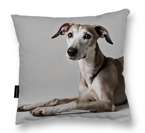 poduszka whippet .png