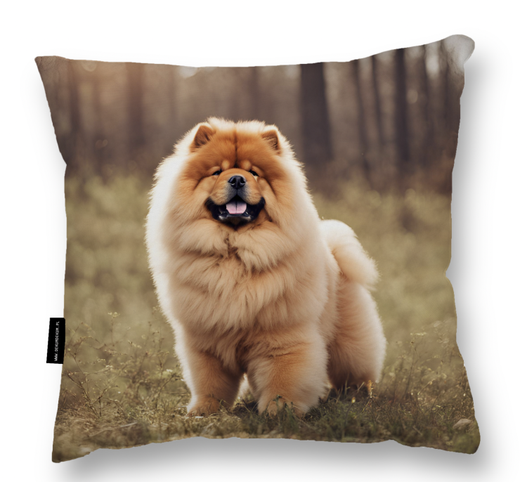 poduszka chowchow las.png