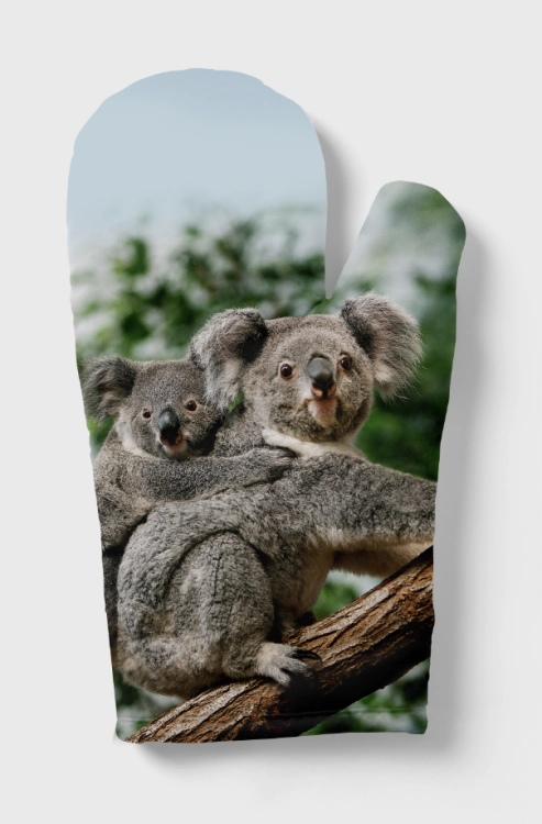 Zrzut ekranu 2024-06-25 o 14.15.15.png