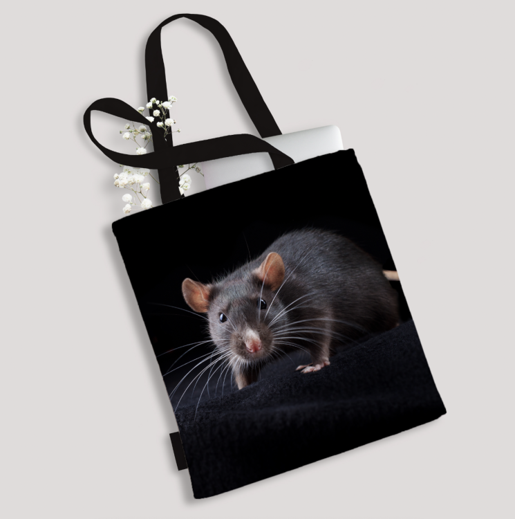 Zrzut ekranu 2024-06-21 o 14.07.55.png