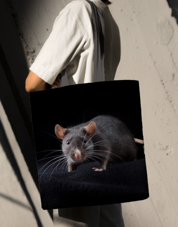 Zrzut ekranu 2024-06-21 o 14.07.41.png