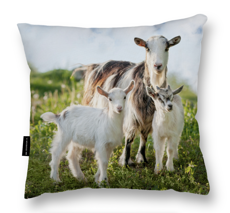 Zrzut ekranu 2024-07-4 o 14.42.40.png