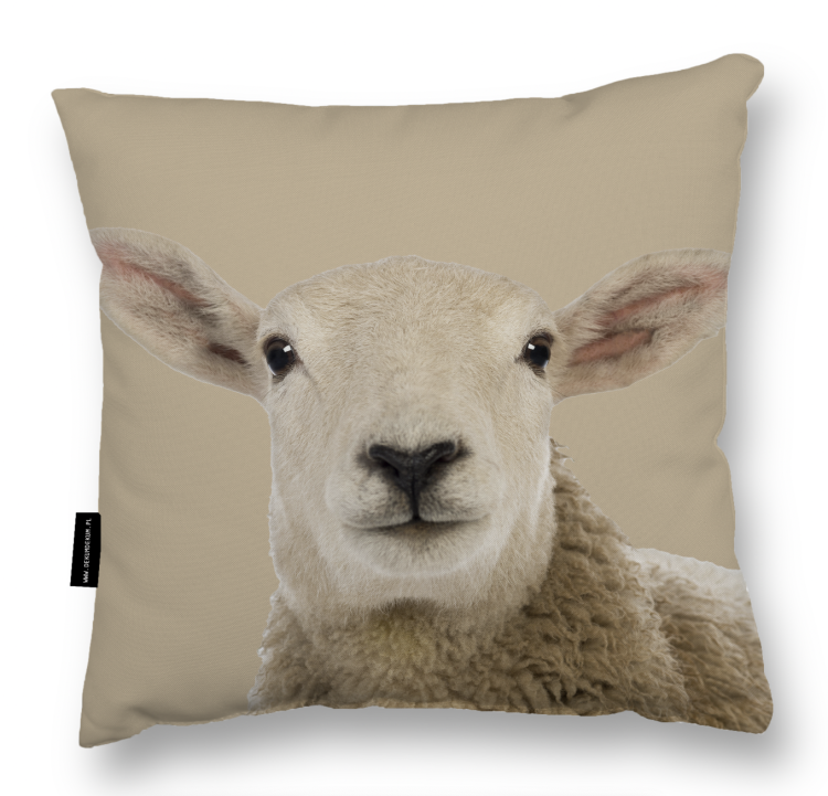 poduszka z owcą.png