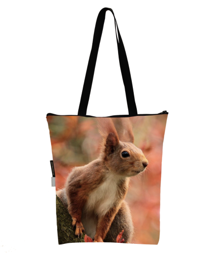 torba wiewiórka.png