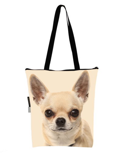 Zrzut ekranu 2024-07-31 o 14.01.15.png