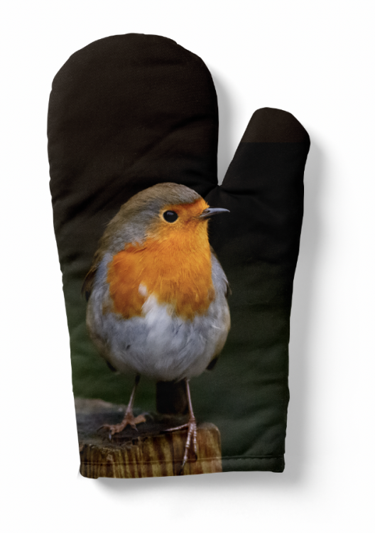 rękawica ptak zdj.png
