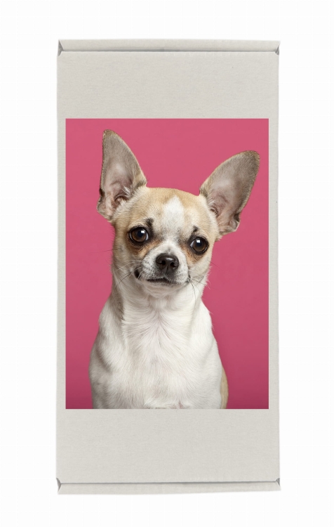 pudełko puzzle chihuahua ró.jpg