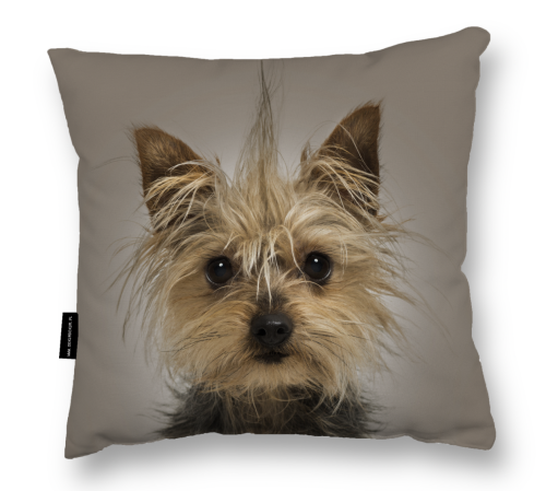 Zrzut ekranu 2025-04-11 o 14.34.49.png