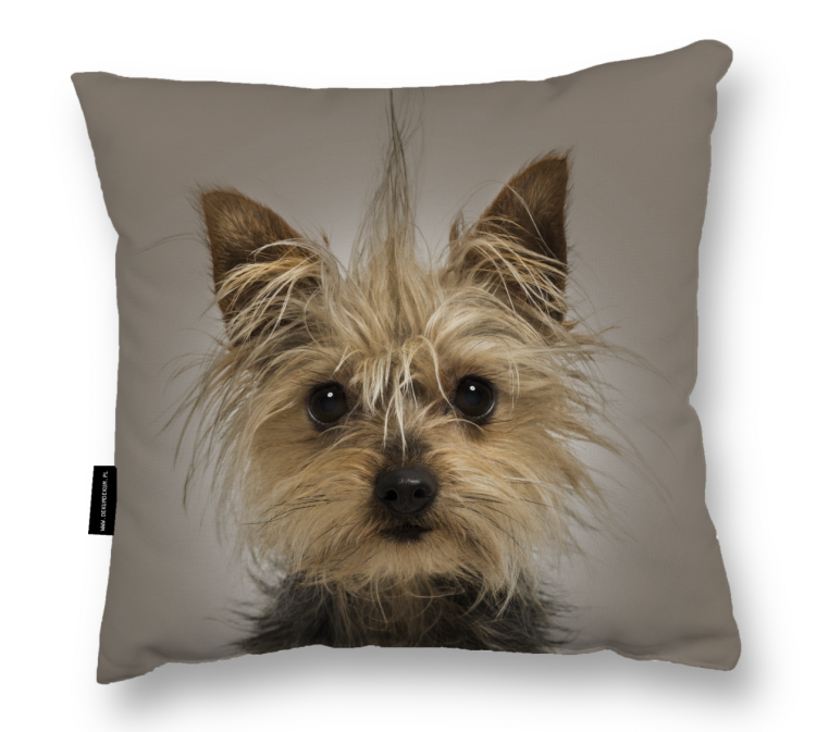 Zrzut ekranu 2025-04-11 o 14.34.49.png