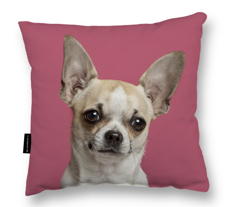 Zrzut ekranu 2025-04-11 o 14.48.30.png