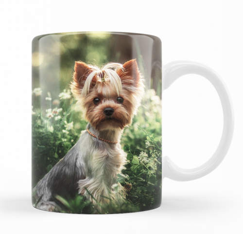 Zrzut ekranu 2025-05-18 o 20.37.53.png