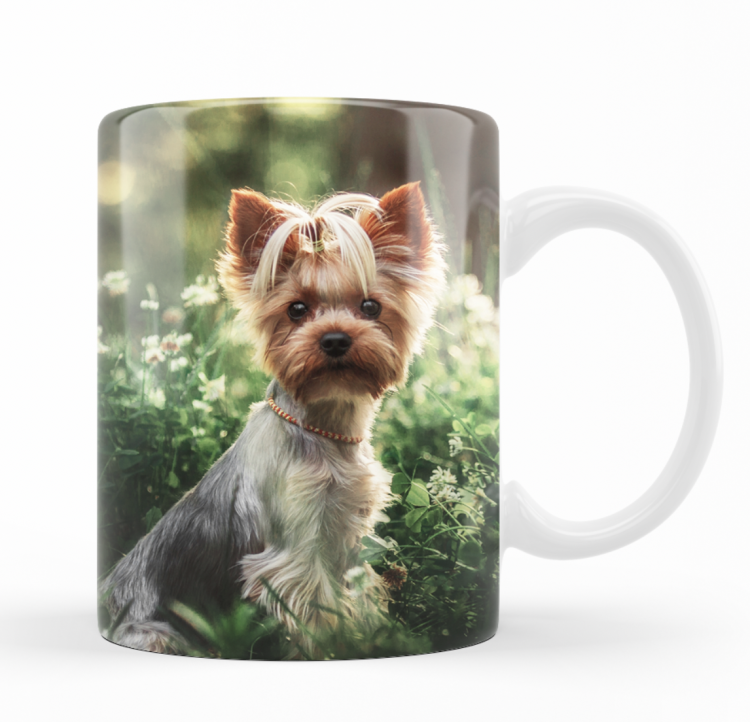 Zrzut ekranu 2025-05-18 o 20.37.53.png