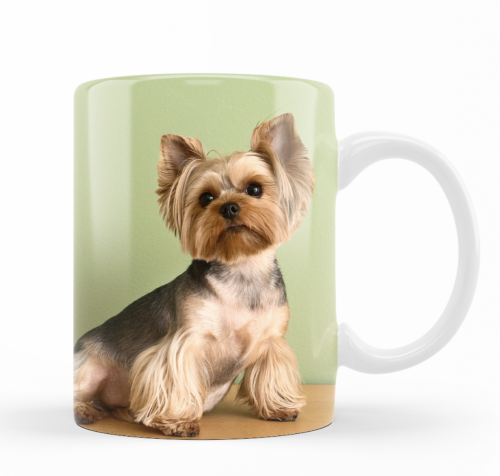 Zrzut ekranu 2025-05-18 o 20.36.57.png