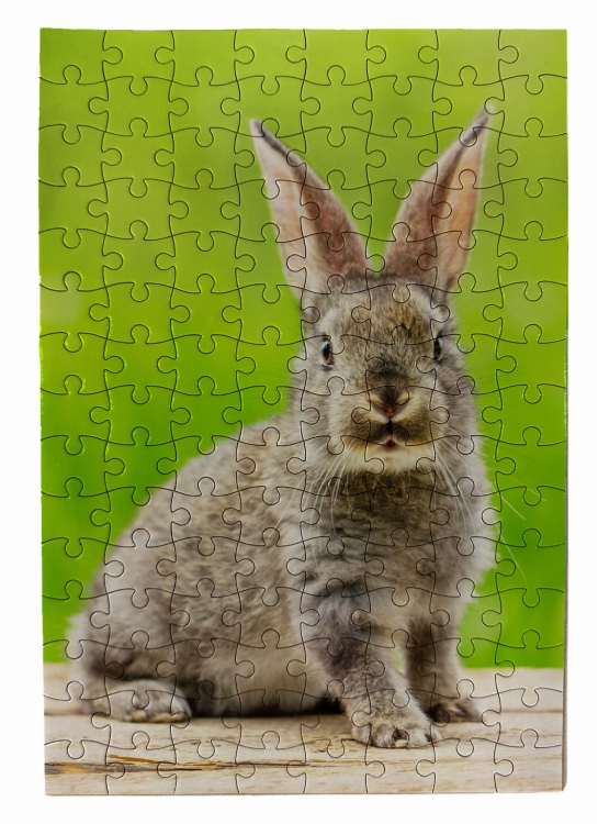 puzzle królik trawa.jpg