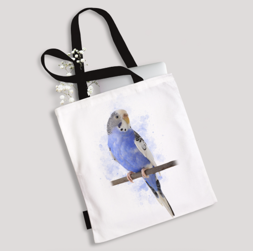 Zrzut ekranu 2026-03-17 o 14.43.20.png