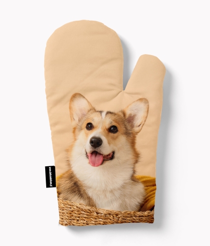 rękawica corgi w koszu zdj.jpg
