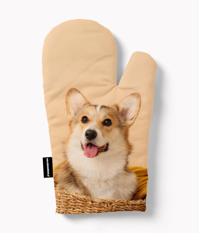 rękawica corgi w koszu zdj.jpg