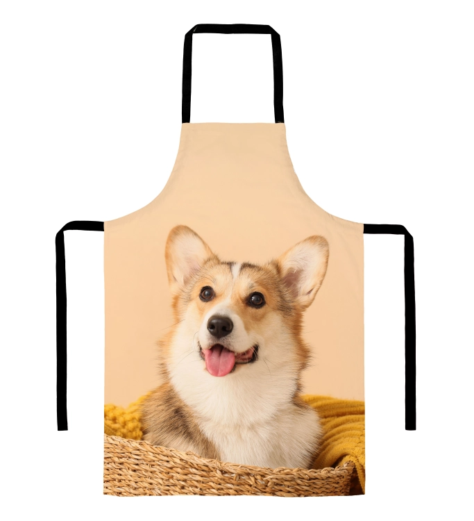 fartuch corgi zdj.jpg