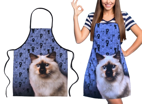 zdj tytułowe aukcja koty allegro.jpg