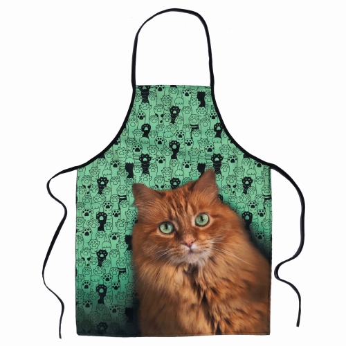 fartuch kot rudy.jpg